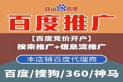 SEM广告投放中的数据监控与调整策略——以某品牌营销案例为例